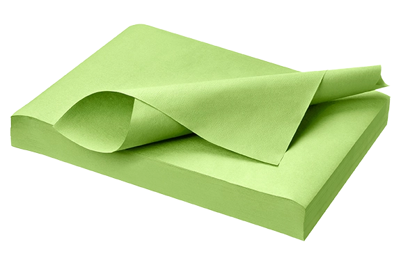 Filterpapier | Norm Tray Einlage | hellgrün